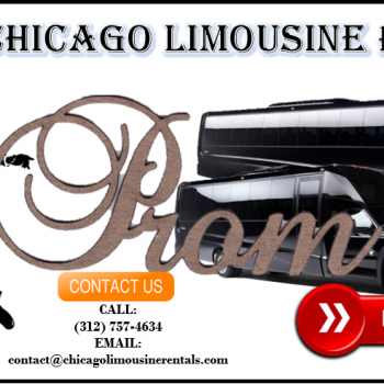 cheap party bus rental
