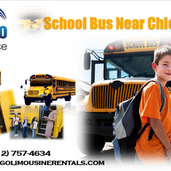 Chicago School Bus Near Me