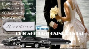 CHICAGO LIMOUSINE RENTALS